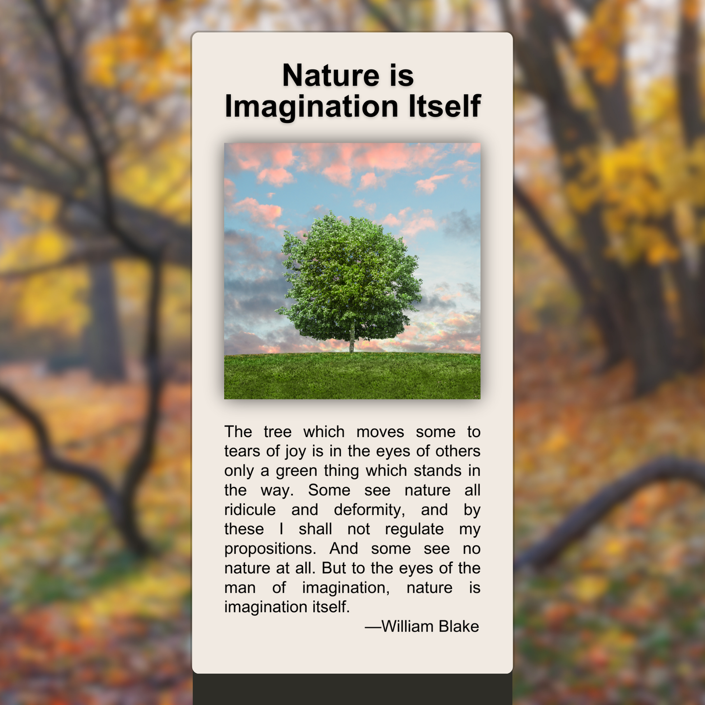 Nature is Imagination Itself
