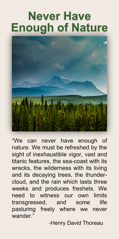 Never Have Enough of Nature