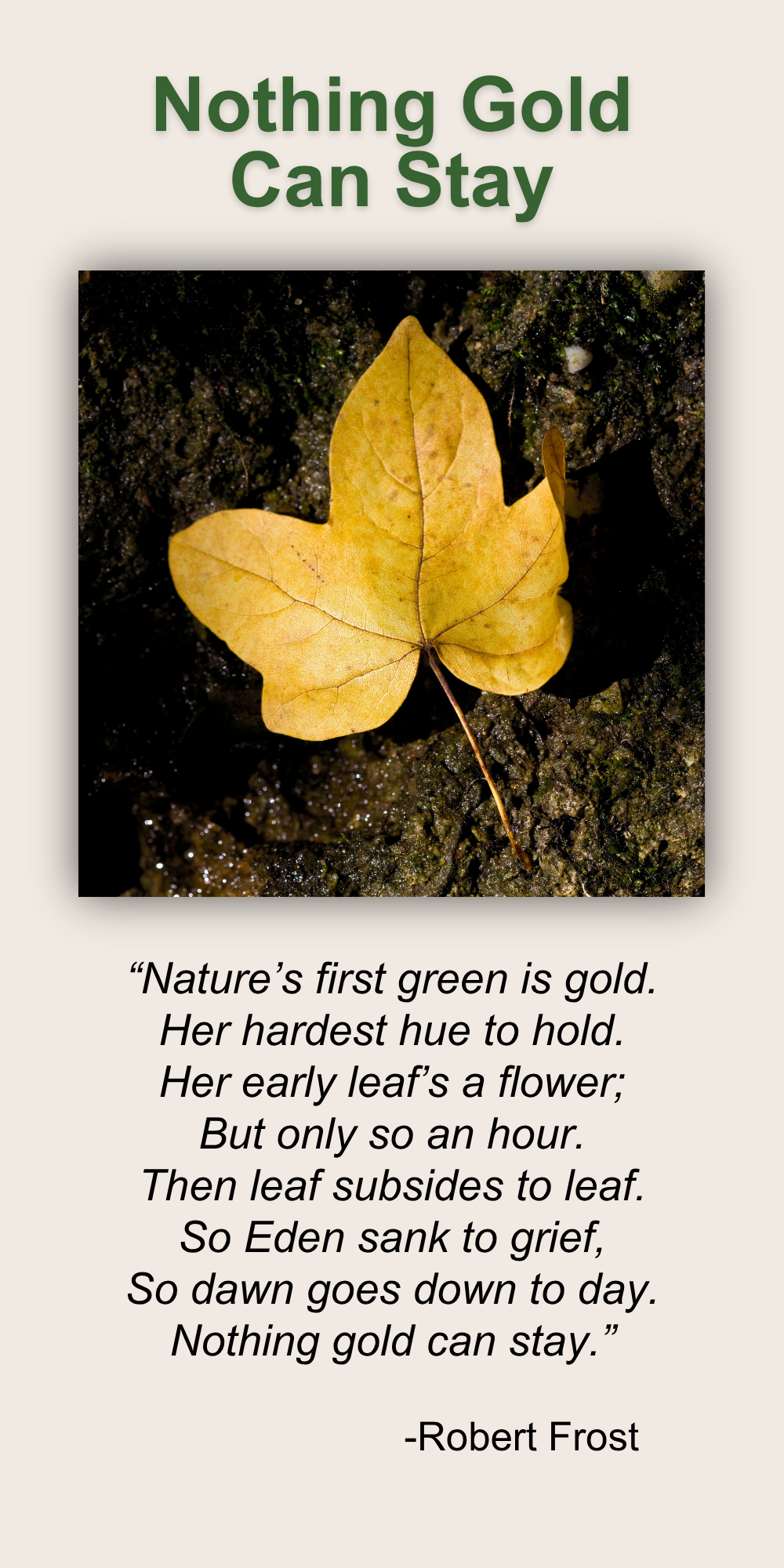 Nothing Gold Can Stay