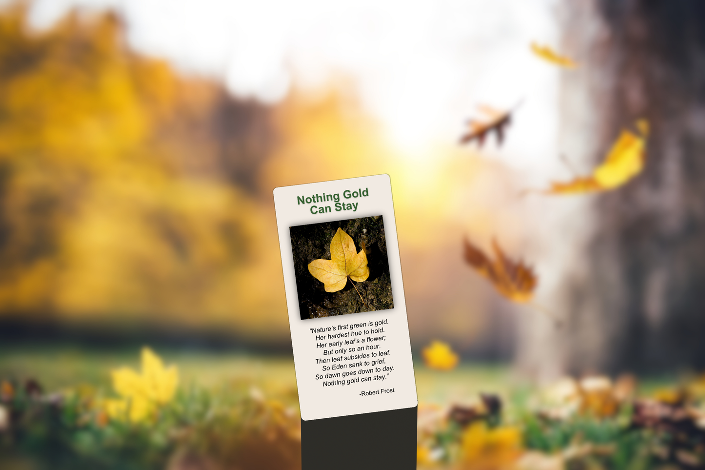 Nothing Gold Can Stay