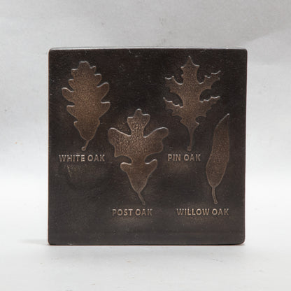 Oak Leaf Comparison