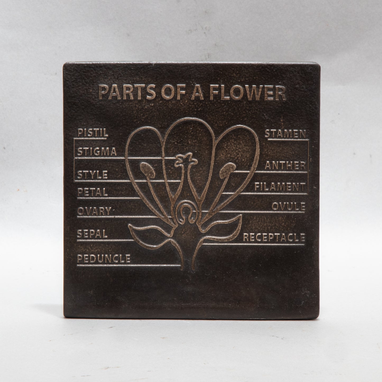 Parts of a Flower