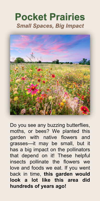 Pocket Prairies