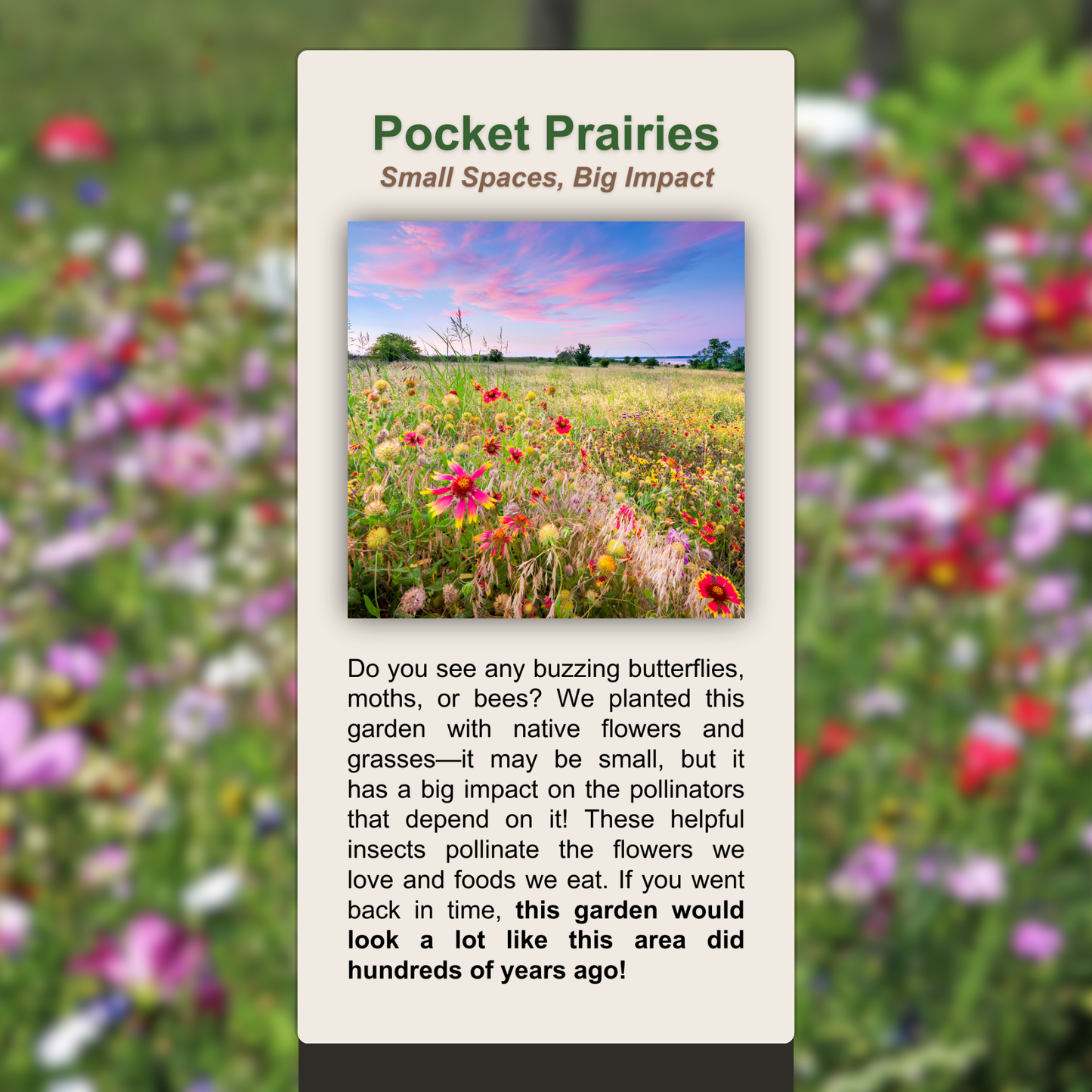 Pocket Prairies