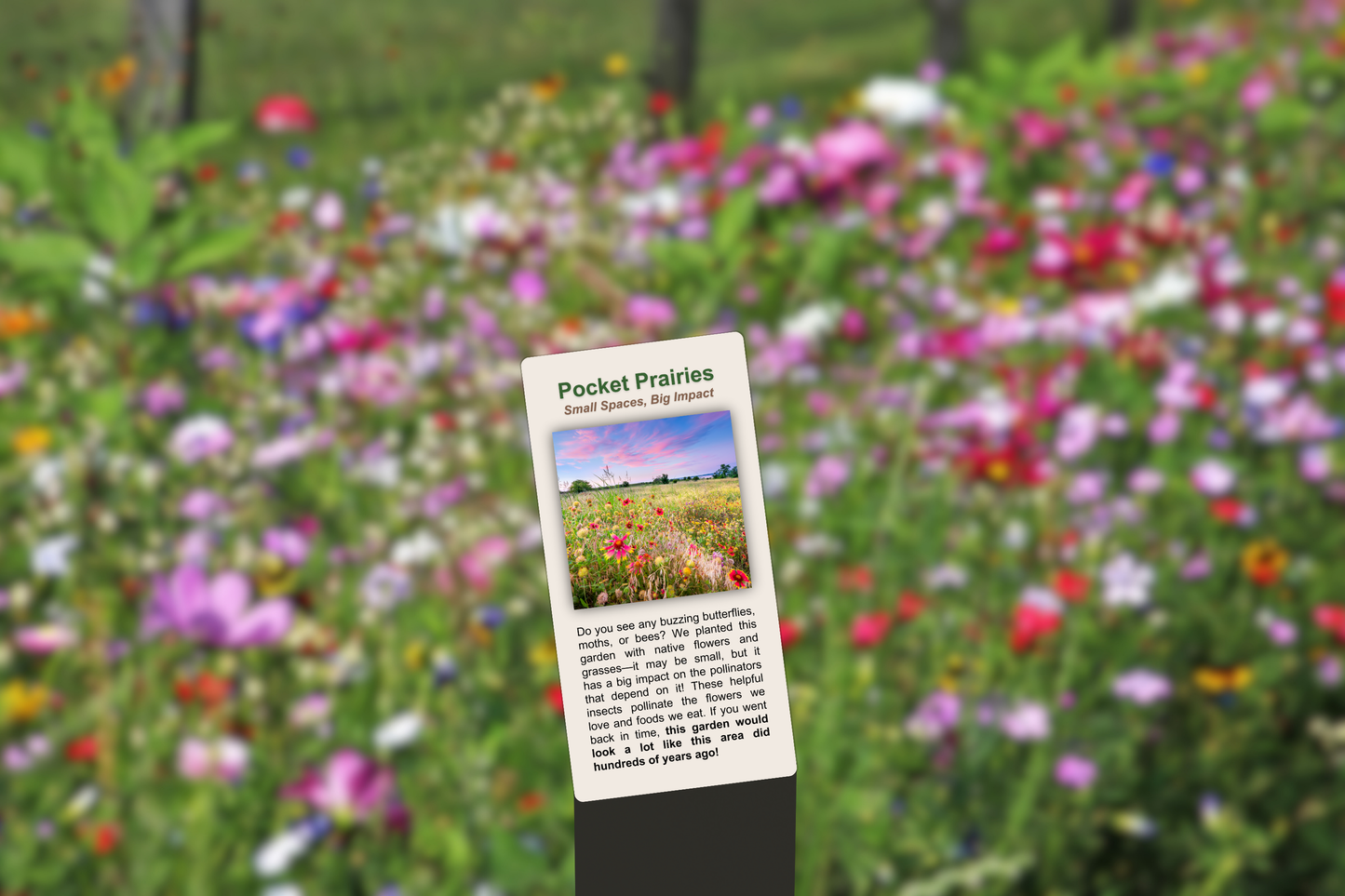 Pocket Prairies