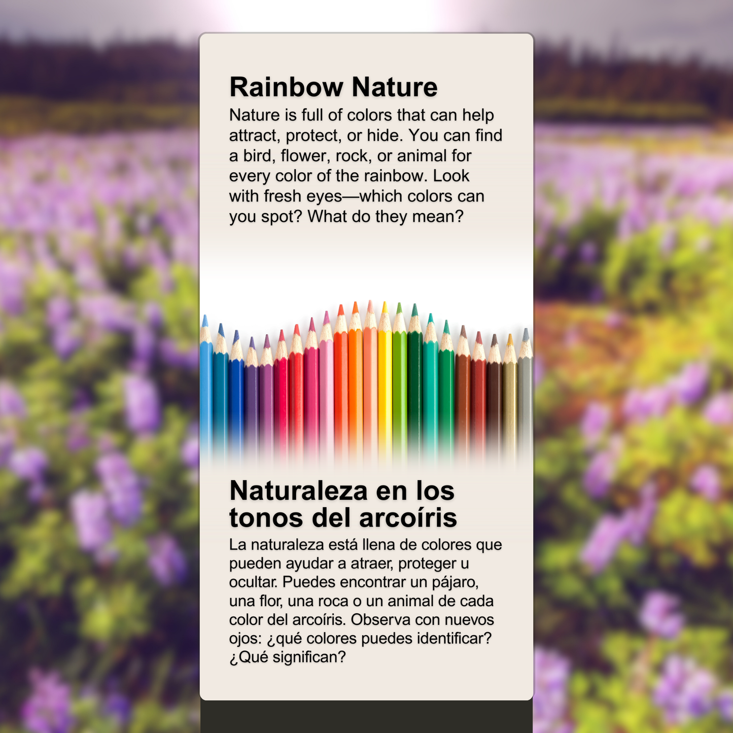 Rainbow Nature