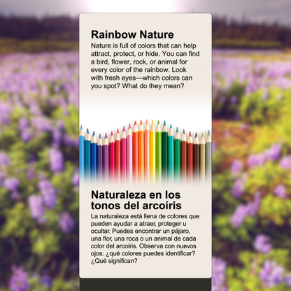 Rainbow Nature