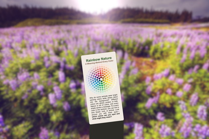 Rainbow Nature