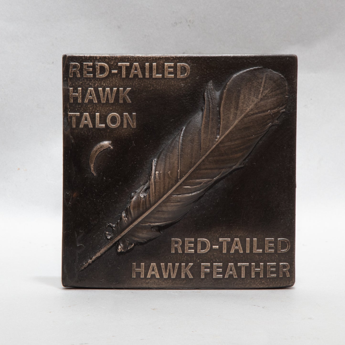 Red-Tailed Hawk Feather and Talon