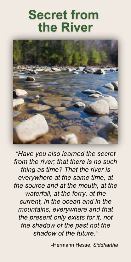 Secret from the River