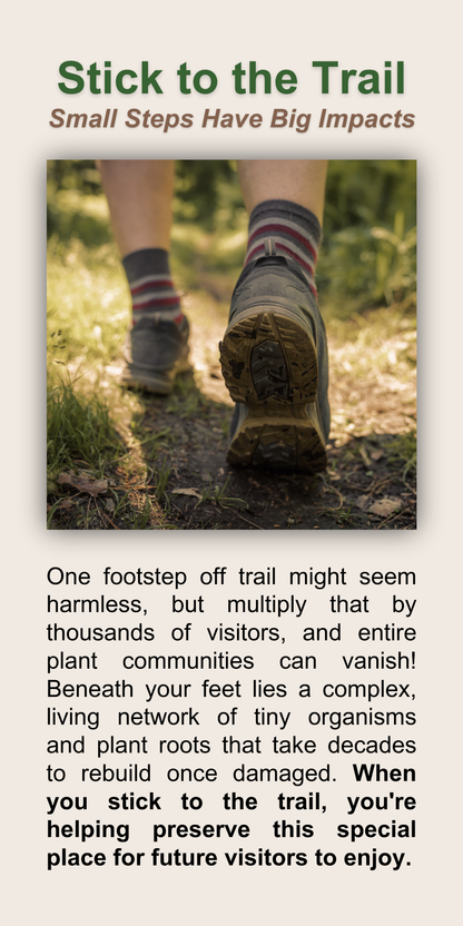 Stick to the Trail