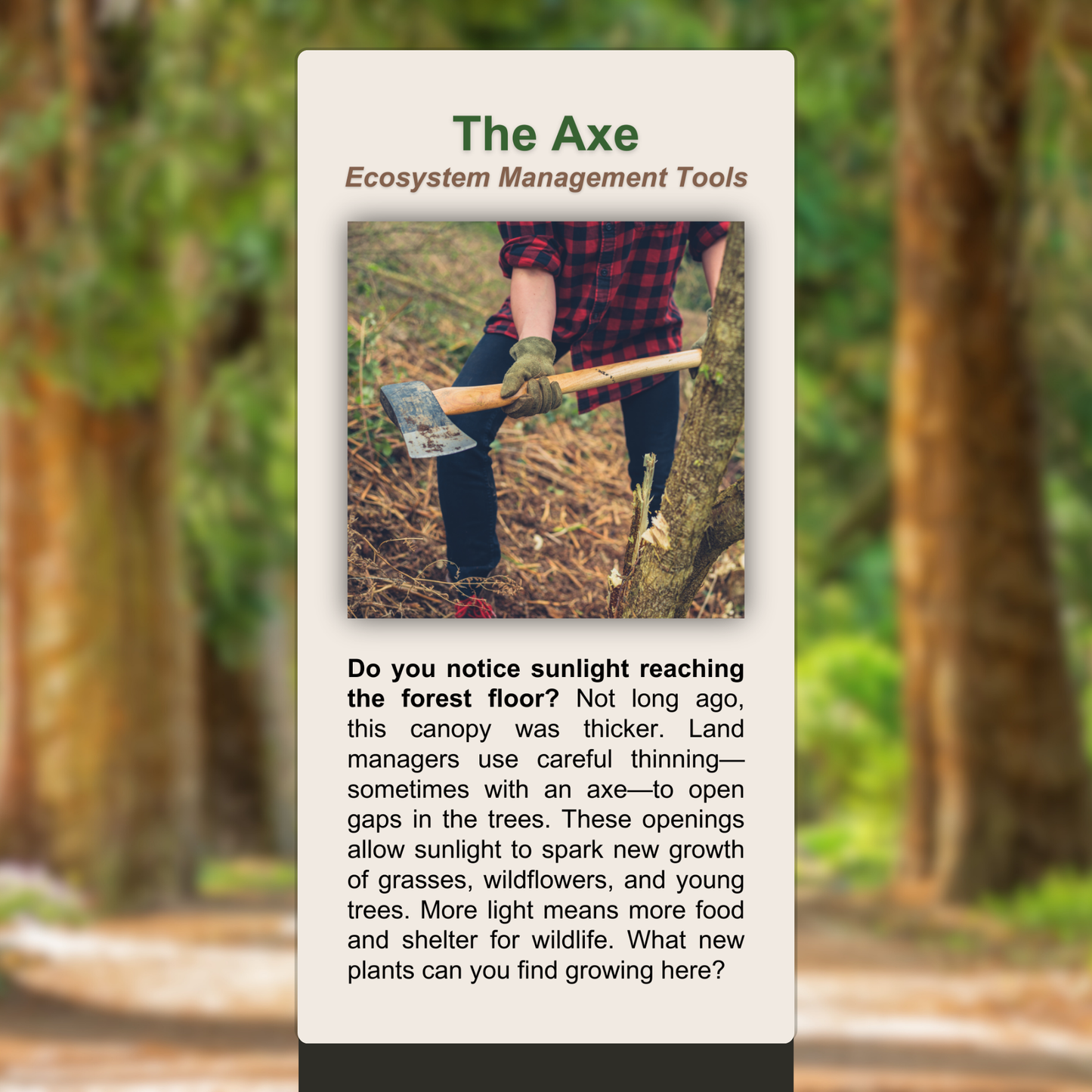 The Axe