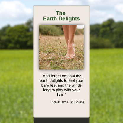 The Earth Delights