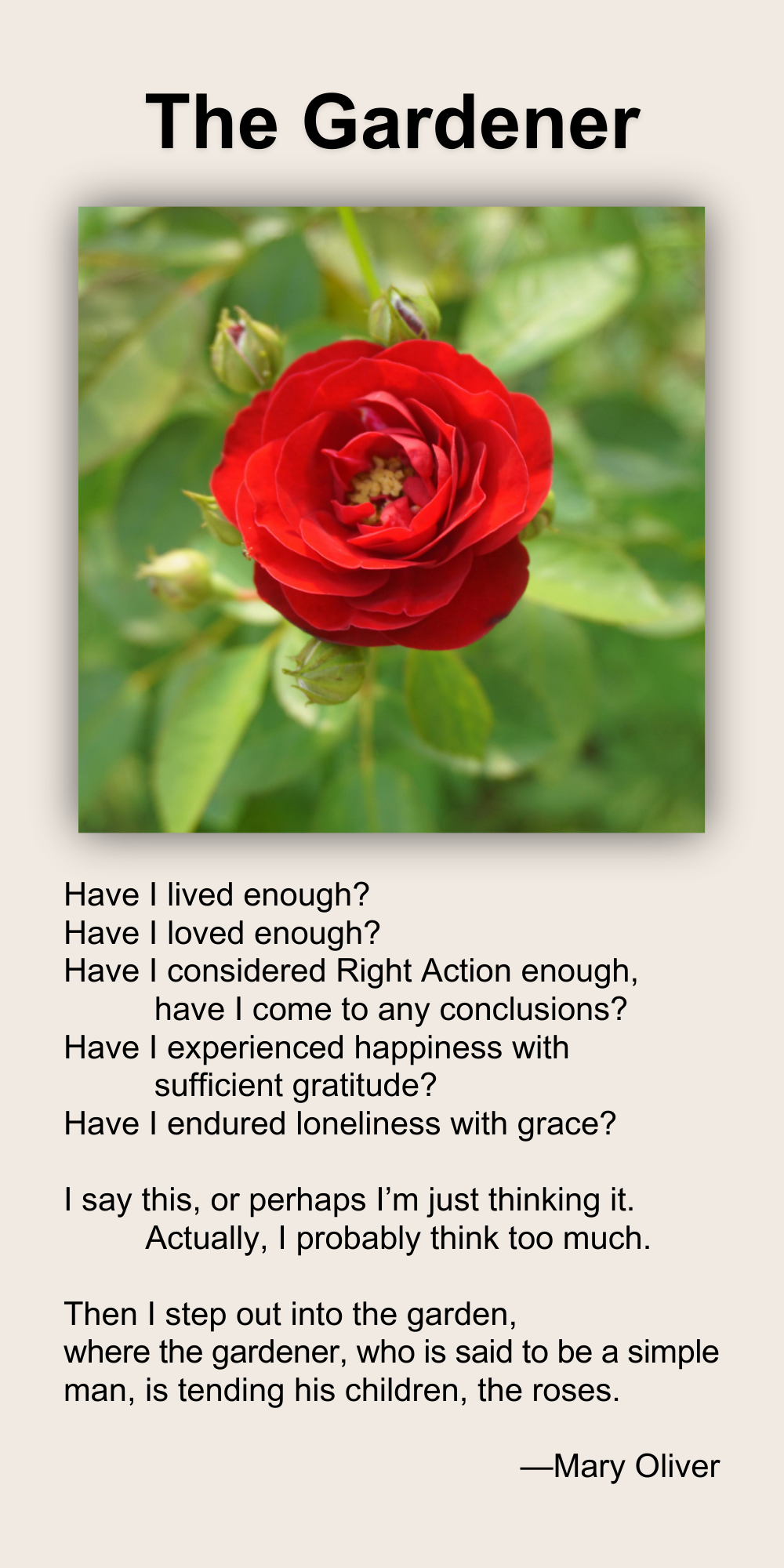 The Gardener