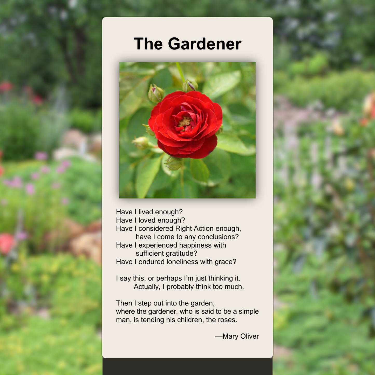 The Gardener