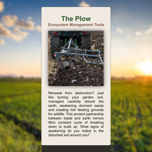 The Plow
