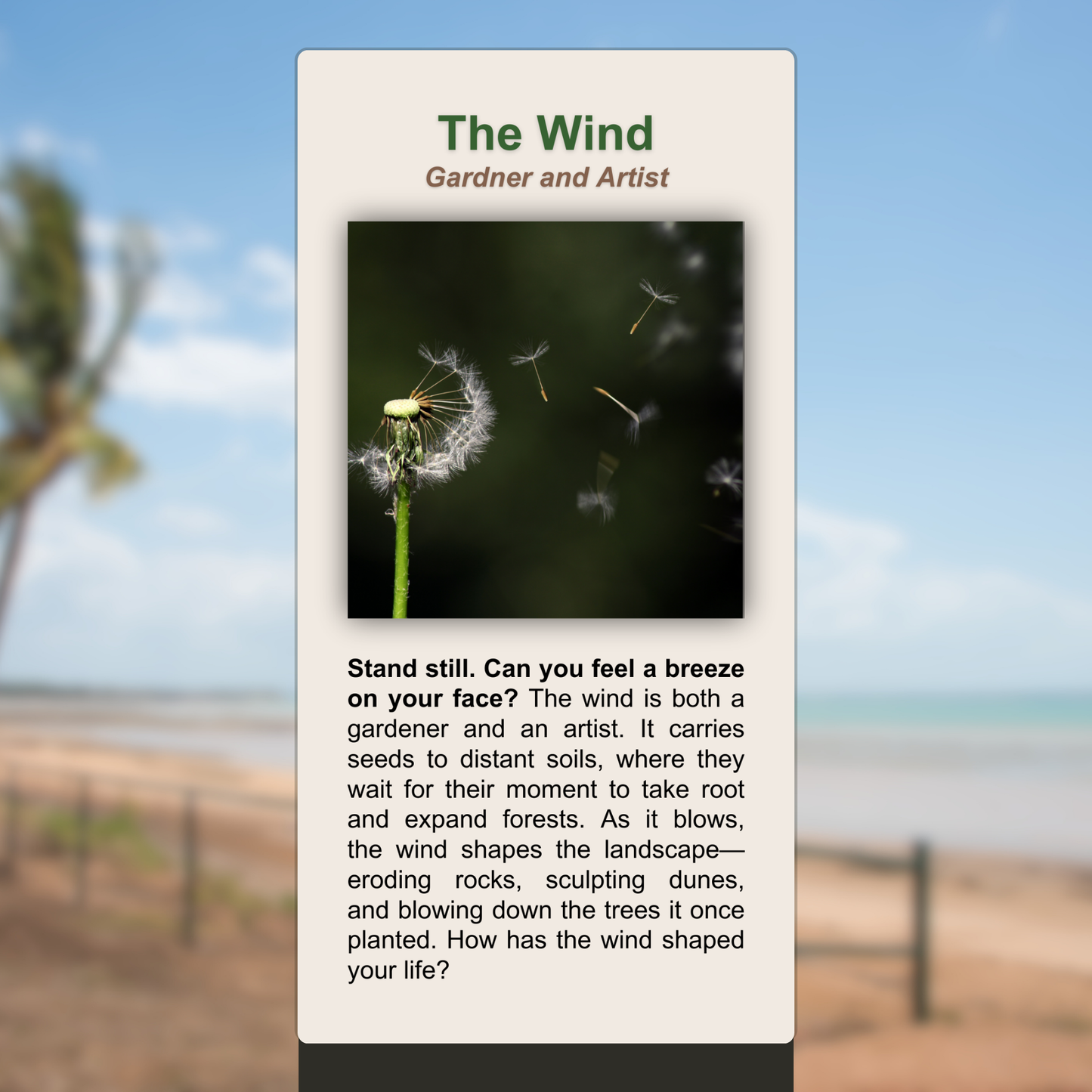The Wind