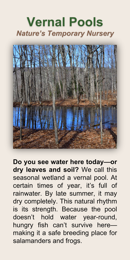 Vernal Pools