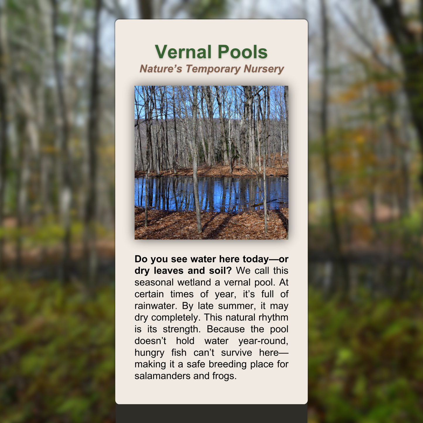 Vernal Pools