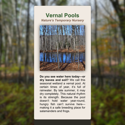 Vernal Pools