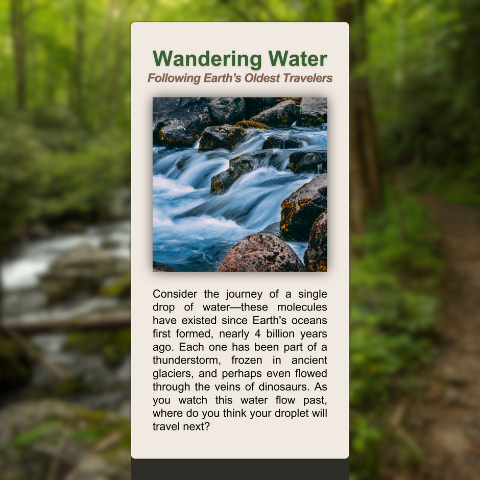 Turnkey Trailside Signs – The Visitor Experience
