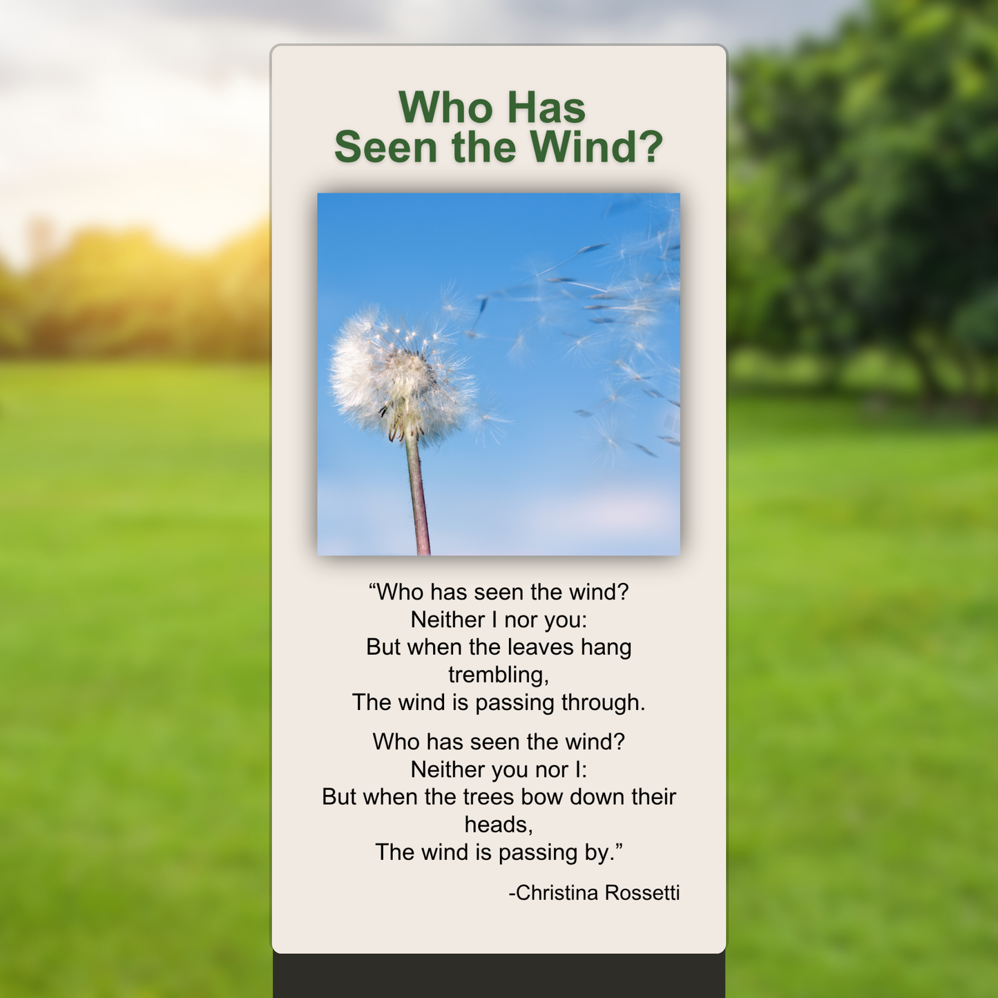 Who Has Seen the Wind?