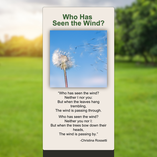 Who Has Seen the Wind?