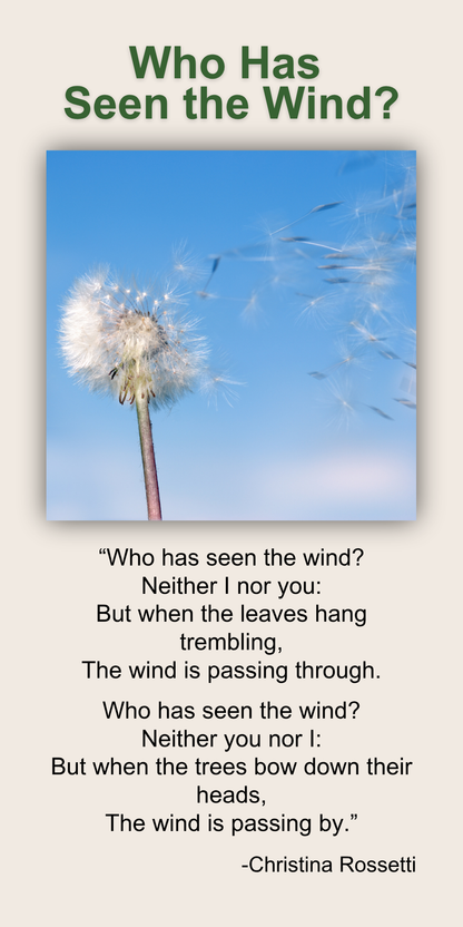 Who Has Seen the Wind?