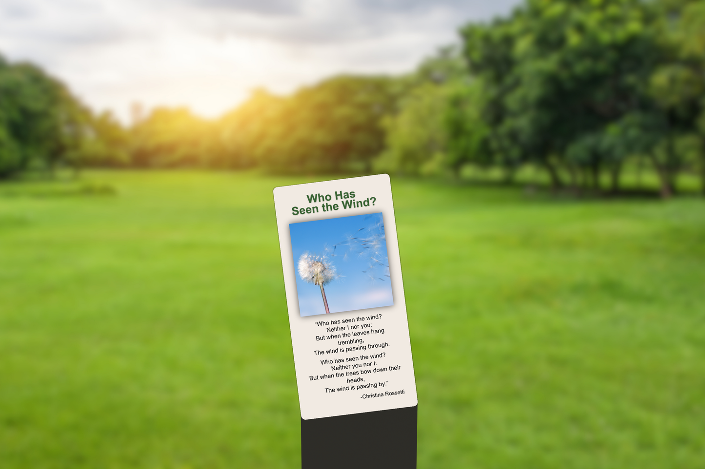 Who Has Seen the Wind?