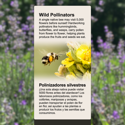Wild Pollinators