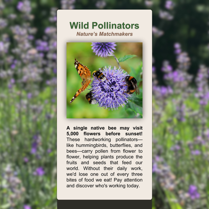 Wild Pollinators