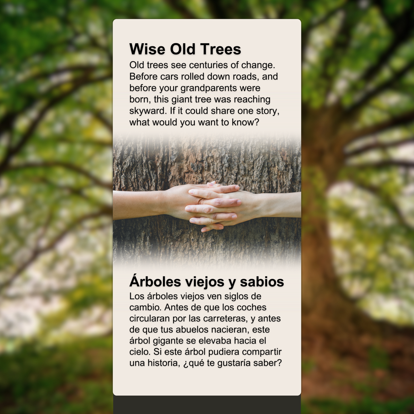 Wise Old Trees