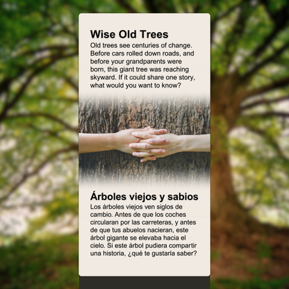 Wise Old Trees
